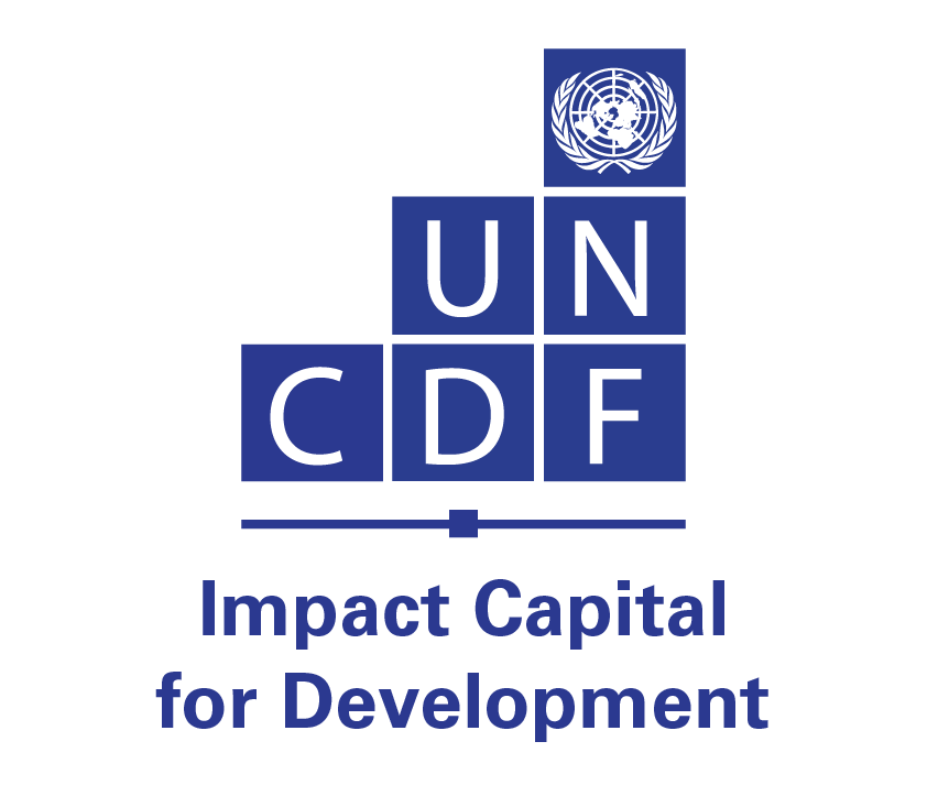 UN Capital Development Fund logo